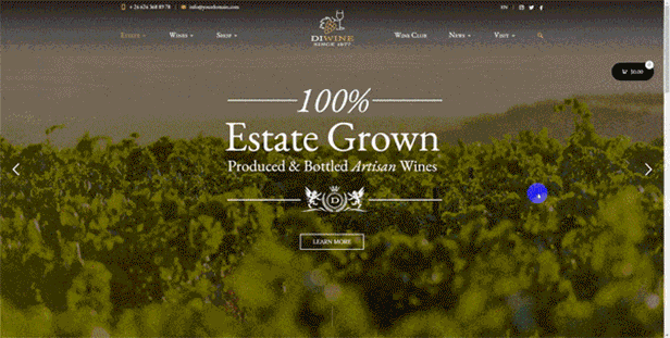 Diwine - Domaine viticole et viticole, thème WordPress pour vignoble - 3