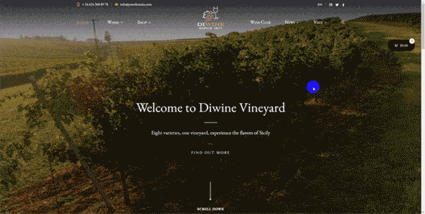 Diwine - Domaine viticole et viticole, thème WordPress pour vignoble - 4