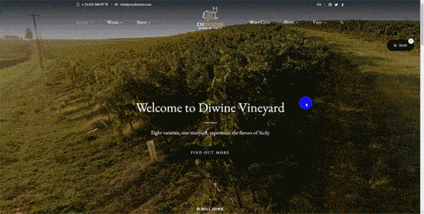 Diwine - Domaine viticole et viticole, thème WordPress pour vignoble - 5
