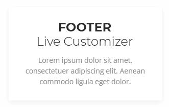 Footer Live Customizer
