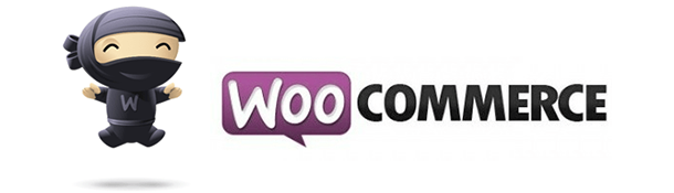Dizzcox - Thème WordPress pour le conseil aux entreprises - 4