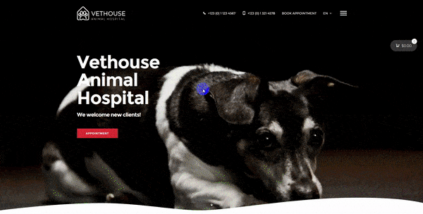 Vethouse - Thème Soins vétérinaires et animaux de compagnie - 8