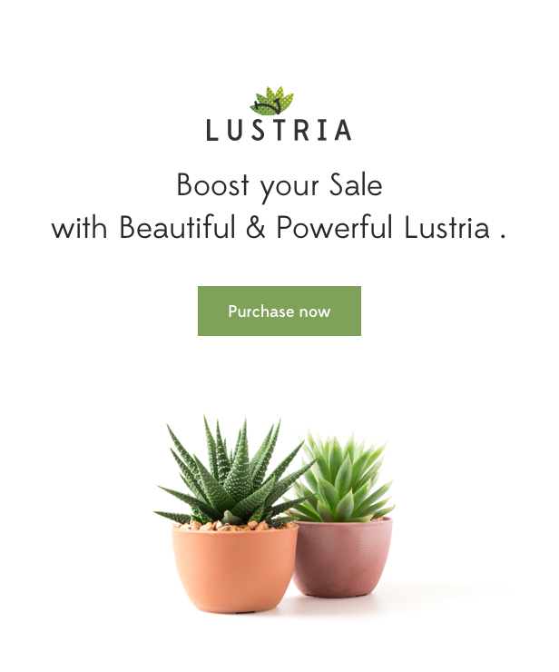 Lustria - Thème WordPress pour un magasin polyvalent - 19