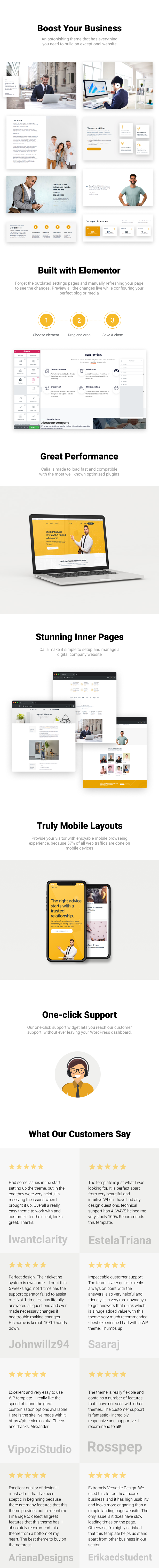 Calia - Thème WordPress pour les affaires et la gestion - 1