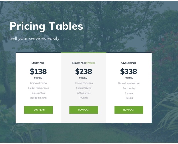 Acacio - Aménagement paysager et jardinage WordPress - 9