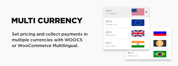 Prise en charge de plusieurs devises avec WooCommerce Multilingual et Woocs