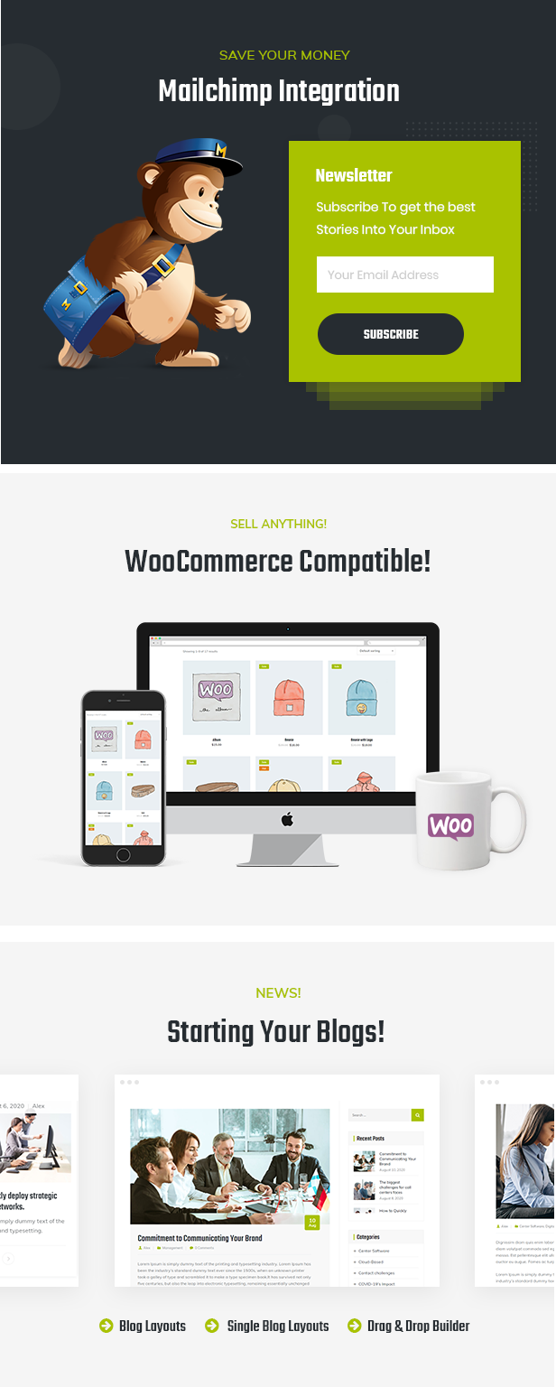 Thème WordPress du centre d'appels et du télémarketing de Teliqon
