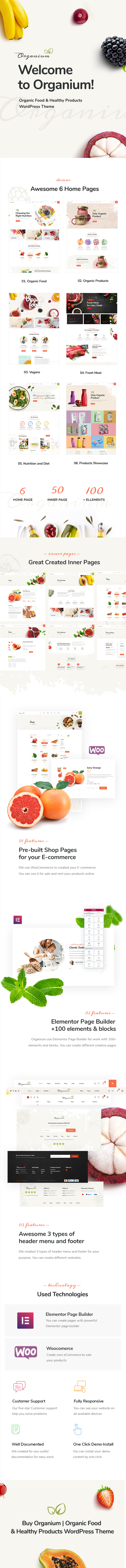 Organium | Thème WordPress pour produits alimentaires biologiques - 2