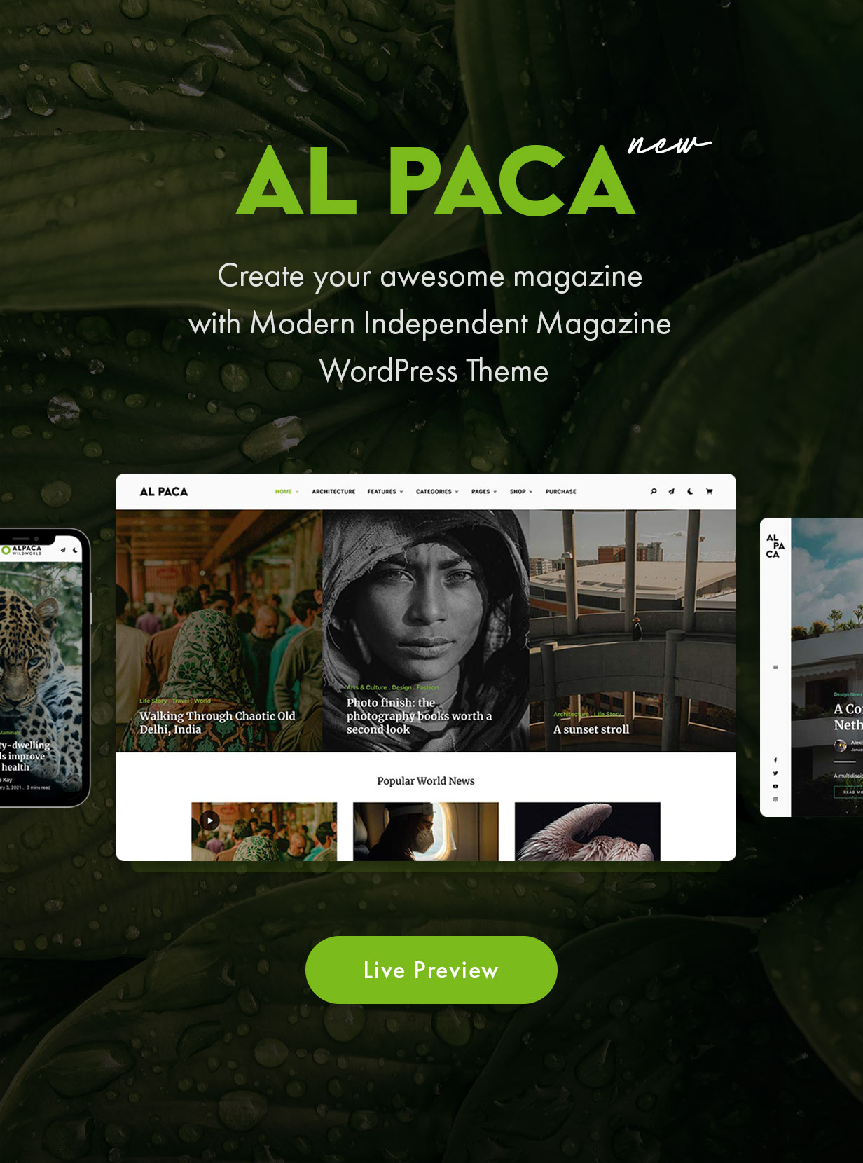 Alpaga - Thème WordPress pour magazine indépendant
