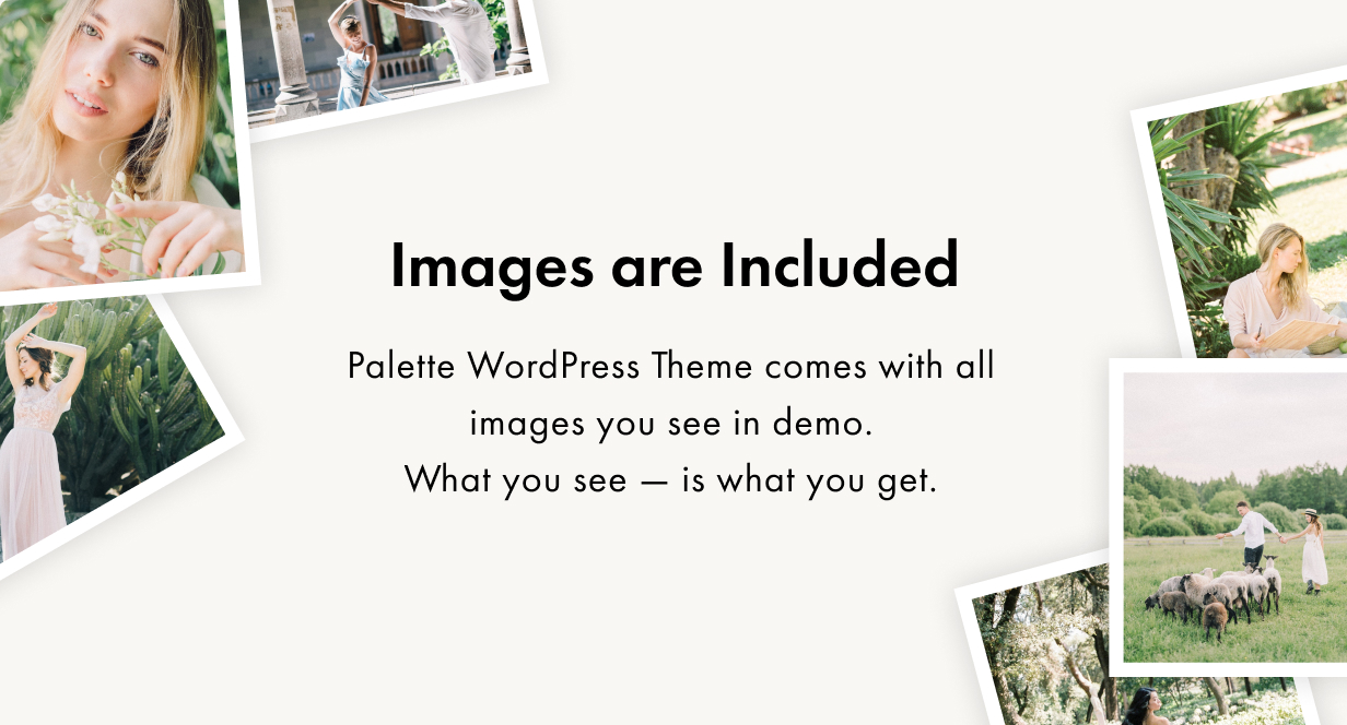 Image de présentation du thème WordPress de la palette