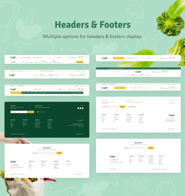 Ecolive - Thème WordPress WooCommerce pour les aliments biologiques - En-têtes et pieds de page