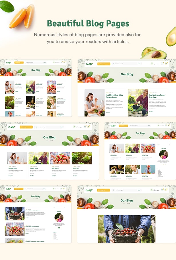 Ecolive - Thème WordPress WooCommerce pour les aliments biologiques - Belles pages de blog