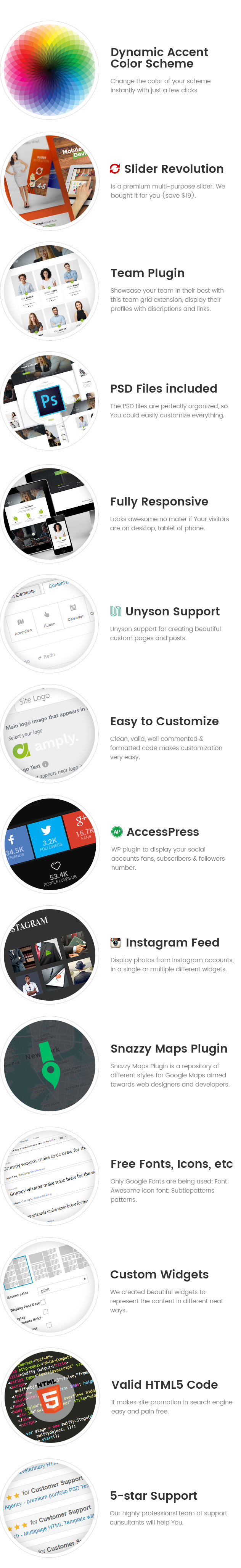 Amply: thème WordPress pour les entreprises numériques