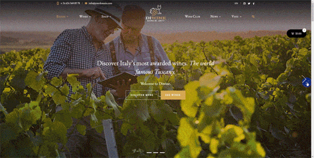 Diwine - Domaine viticole et viticole, thème WordPress pour vignoble - 2