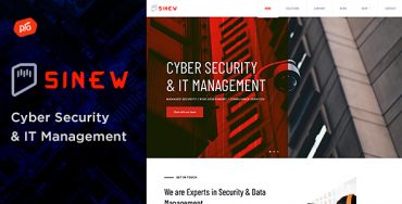 Sinew – Thème de la sécurité informatique et de la gestion informatique Theme Division