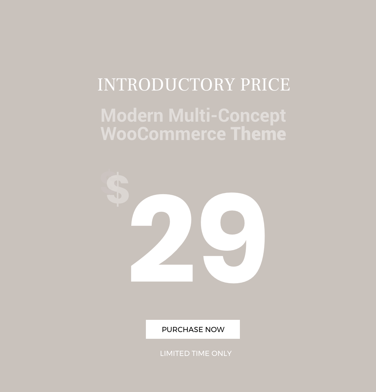 Tera - Thème WordPreess Moderne WooCommerce - 1