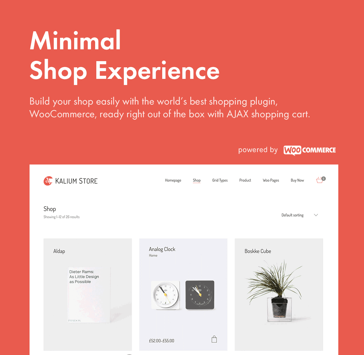Expérience de magasin minimal et moderne (eCommerce)