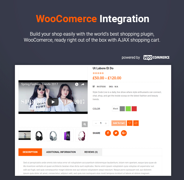 SW alishop - Thème WooCommerce