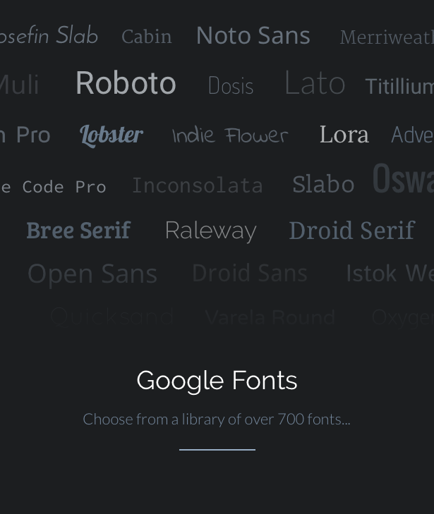 Google Fonts