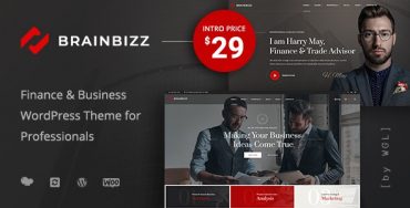 BrainBizz – Thème WordPress pour la finance et les entreprises Theme Division