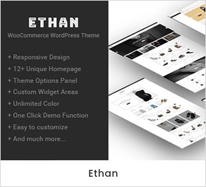 Ethan - Thème WordPress responsive WooCommerce