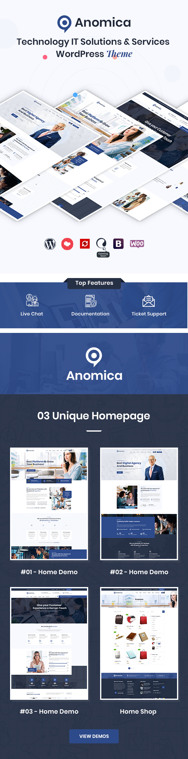 Thème WordPress Anomica