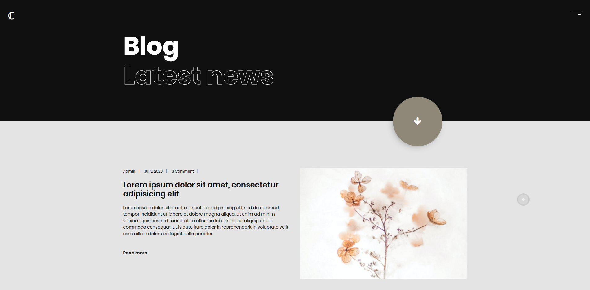 COJO - Modèle HTML5 de portfolio personnel - 4