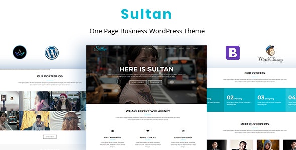 Sultan - Thème WordPress One Page Business - Business Corporate